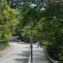 바닷길 | [태종대 바닷길] 다녀온 후기 1부