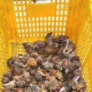 양포초등학교 이미지