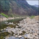 정선파인케어빌 이미지