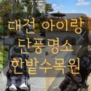 한밭전자 | 대전 가을 아이와 가볼만한곳 한밭수목원 무료 단풍명소