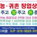 로또하복대두진점 이미지