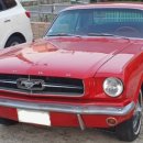 (주)M-Motors 이미지