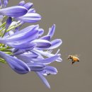 초원 골프연습장 이미지