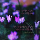 요한복음 13:31 – 13:38 예수님의 새 계명, “서로 사랑하라” 이미지