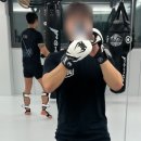 Just MMA 이미지