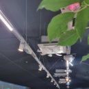 검암스크린골프 이미지