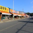 정가네토굴새우젓 네이버블로그