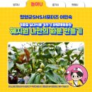 이민숙농장 네이버블로그