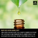 데일리에스테틱 - 목포시 | 데일리에스테틱