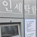 뽀얀수선