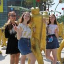 금산관광안내소 이미지