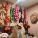 연희동물의료원 이미지