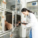 고려종합동물병원 이미지