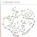 니니브 - 125203 | 니니브