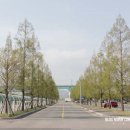 축구장 옆 화단 이미지