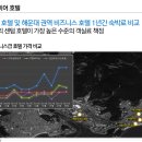 센텀프리미어호텔 준공 바로 월세 받으세요 가성비높은 호실 이미지