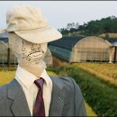 바보언니
