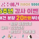 공주동물병원 이미지