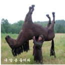 에어짱 네이버블로그