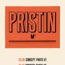 프리스틴 카카오 검색결과