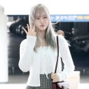 리즈 이미지