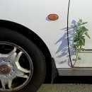 은혜가스 이미지