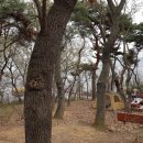 평택호그랜드관광호텔 이미지