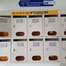 화산로 이미지