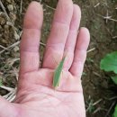 자연애농장 이미지