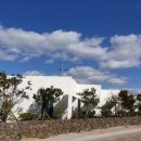 스테이낭 이미지