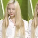 머리깍쟁이 이미지
