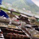 화도왕오리 이미지