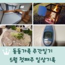 주간일기 5월 첫째주 일상기록 / 파주캠핑장 카라반 / 귀 뚫음 / 어버이날 / 고열 엔딩ㅠ