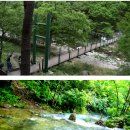 제 156차(9월) 정기 산행 안내 [홍천 수타사 ] 산소길 산행 이미지