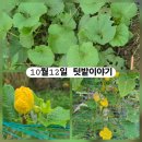 해원농장 이미지