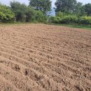 옹심이팥죽 이미지