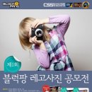 블럭팡 아이뉴스24