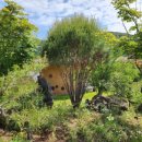 설구산방 이미지