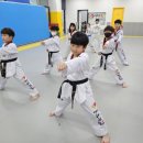 MTM영웅태권도장 이미지