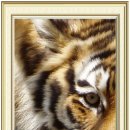 고헌농장 | 동물원 촬영후기