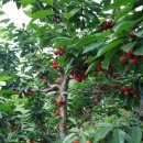 (주)이노비 이미지