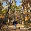 석양이 예쁜집 이미지