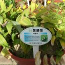 팔달초등학교 이미지