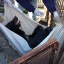 웅담농장 이미지