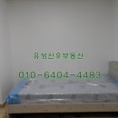 대덕대 정문 버스정류장 이미지