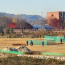 역천파크골프장 이미지