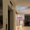 노블스테이 이미지