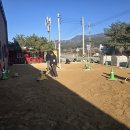 홍천인력 홍천 만세인력, 믿음직한 인력 서비스 후기