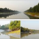 방글라데시 _ 순다르반(방글라데시 벵골만의 아름다운 정글 크루즈) 이미지