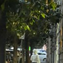 초대교회~한적교차로~금흥교차로 | 이탈리아🇮🇹 4일차, [트레비 분수 주변 도보 코스, 추천!/콜로세움 입장권으로 갈 수 있는곳/ 로마아이...